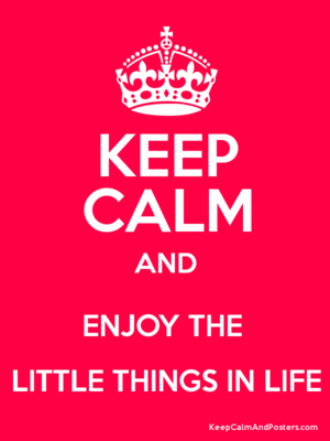  Enjoy The Little Things In Life