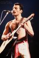 Freddie Mercury  - celebrities-who-died-young photo