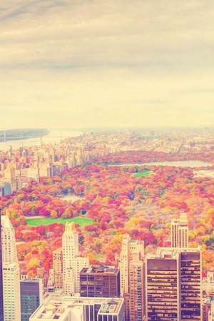  Autumn In New York