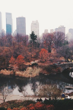 Autumn In New York 