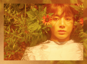  BTS concept Fotos for 'Love Yourself'