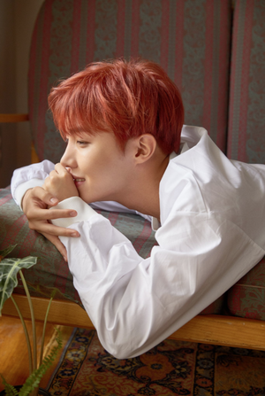  BTS concept picha for 'Love Yourself'