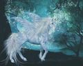 Beautiful Unicorn - unicorns photo