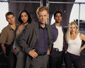 CSI: Miami Cast - csi-miami photo