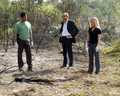 CSI: Miami Cast - csi-miami photo