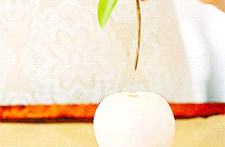  ক্যান্ডি চকোলেট apples
