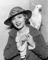 Dorothy Dell (January 30, 1915 – June 8, 1934) - celebrities-who-died-young photo