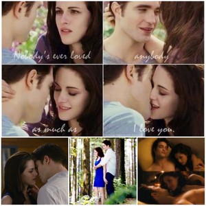Edward and Bella collage 