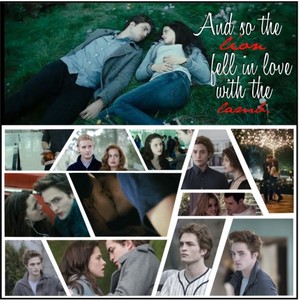  Edward and Bella collages