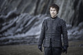 Game of Thrones - Episode 7.07 - The Dragon and the Wolf - game-of-thrones photo
