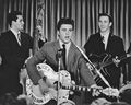 Ricky Nelson  - celebrities-who-died-young photo