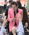 Harry Styles on the Today Show - harry-styles photo
