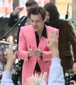 Harry Styles on the Today Show - harry-styles photo