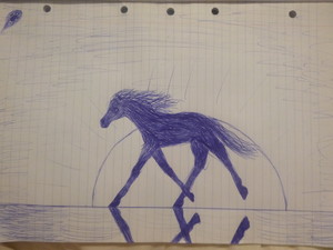  Horse running against moonlight