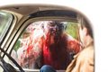 Jeepers Creepers 3 (2017) - horror-movies photo