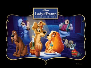  Lady And The Tramp