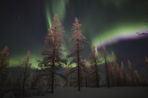  Northern Lights, Russia