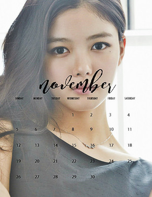  November 2017 calendar printable