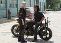 Season 8 ~ Carol and Daryl - the-walking-dead photo