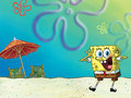 spongebob-squarepants - Spongebob wallpaper wallpaper