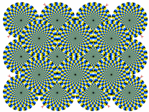 illusion  13 