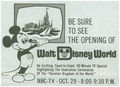 Promo As For Disney World Grand Opening  - disney photo
