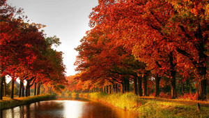  Autumn achtergrond