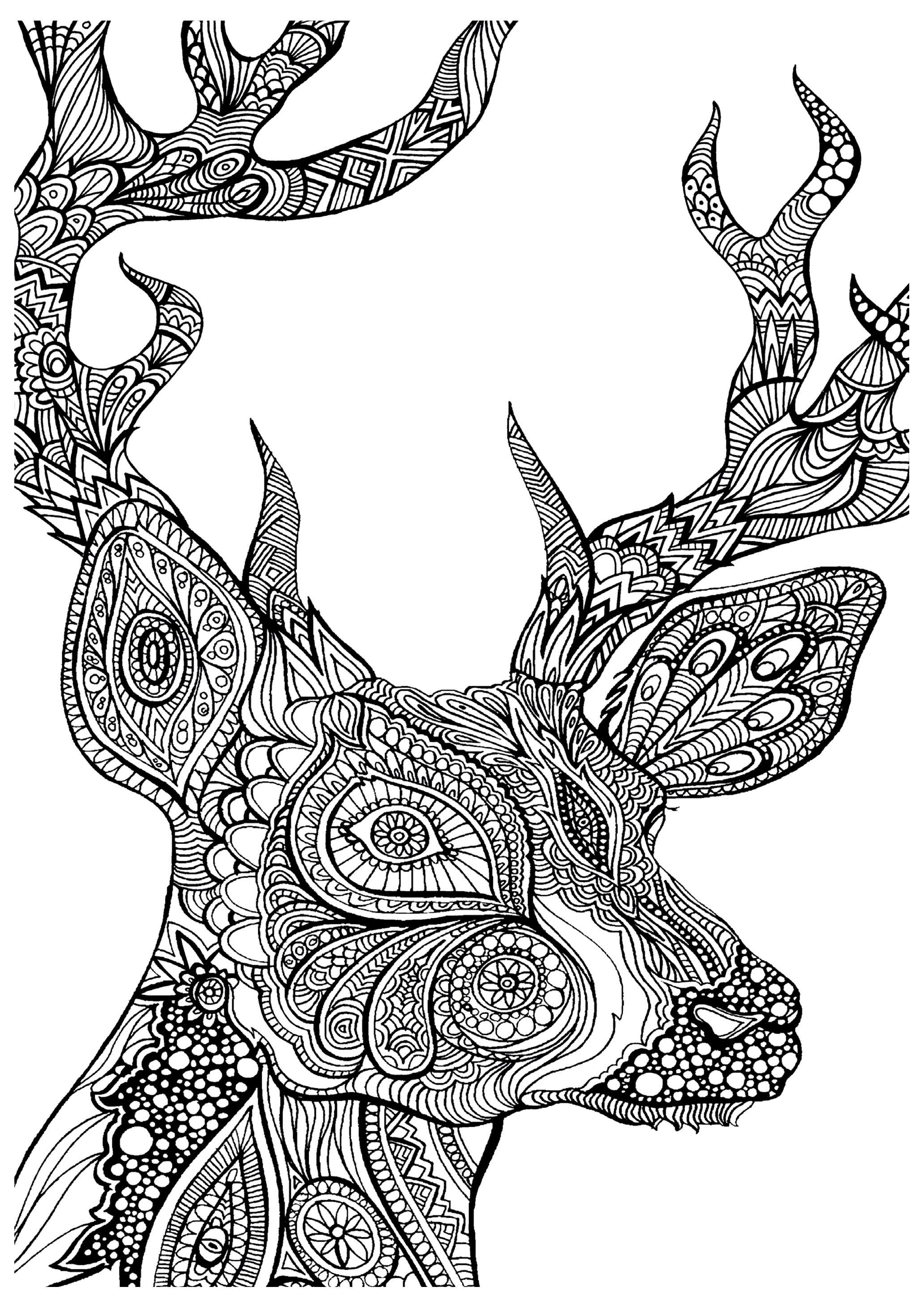 Colouring Page   Coloring photo 20   fanpop