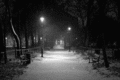 Dim Light In The Night - random photo