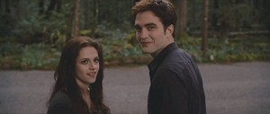  Edward and Bella 81