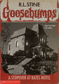 Horror as Goosebumps Covers - Psycho - horror-movies fan art