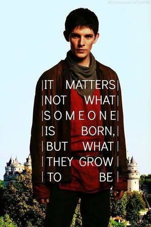  Merlin - The Most Beautiful Quote Ever