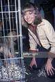 Olivia Visiting A Local Animal Shelter In 1977 - olivia-newton-john photo