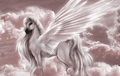 Pegasus - fantasy photo