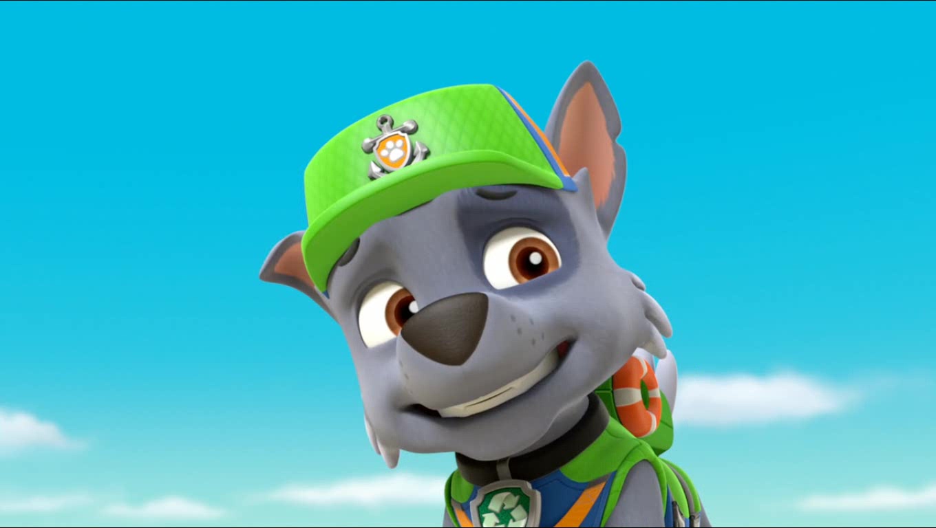 Photo of Rocky for fans of PAW Patrol. 