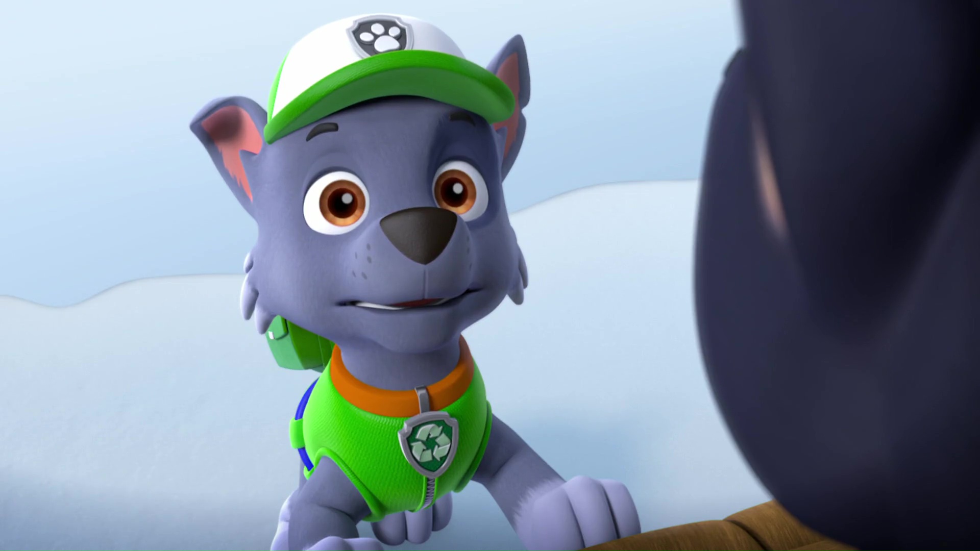 Photo of Rocky for fans of Rocky - PAW Patrol. 