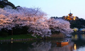  Sankeien Garden, 日本