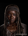 Season 8 Character Portrait #1 ~ Michonne - the-walking-dead photo