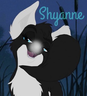  Shyanne Nicole💙