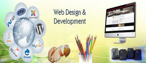  Website 设计 Development