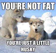 You're Just a Little Husky