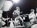 Ziggy Stardust - ziggy-stardust photo