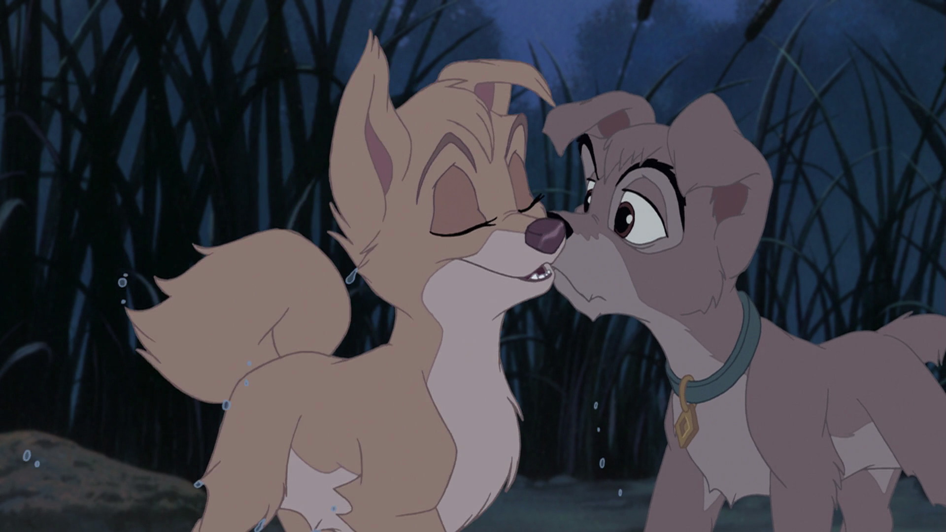Angel(Lady and The Tramp 2) Images on Fanpop.