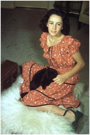 Elizabeth Taylor And Her Kitten 