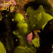  marriedkissage 3.15s - fred-and-hermie icon