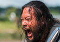8x04 ~ Some Guy ~ Jerry - the-walking-dead photo