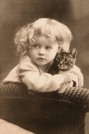  A Little Girl And Her Kitty
