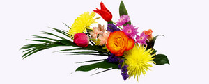  Beautiful Flowers For A Wonderful Friend