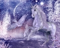 Beautiful Unicorn - unicorns photo