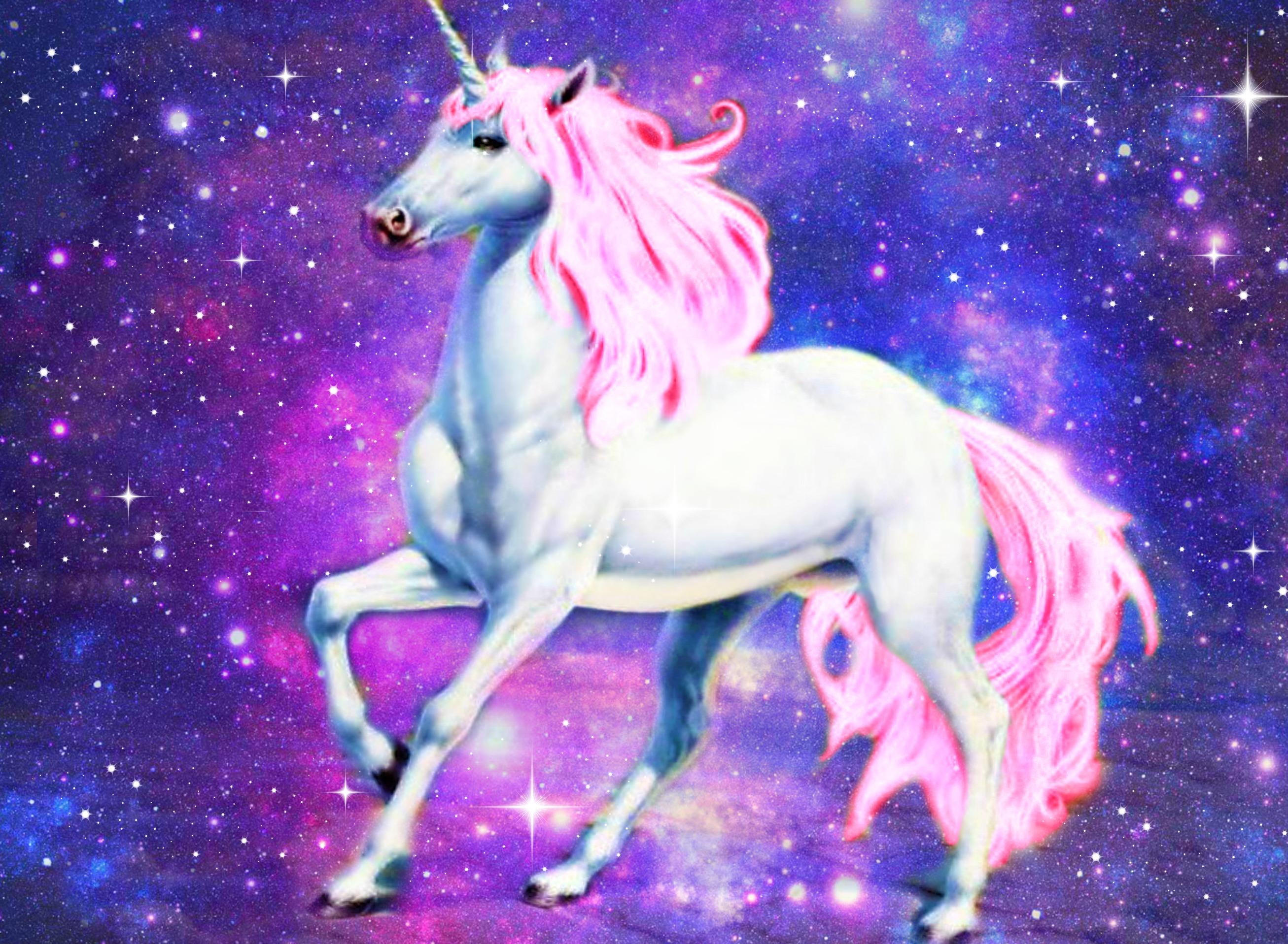 Beautiful Unicorn Pictures Real